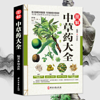 華佗醫藥 中醫史上的外科圣手與養生先驅